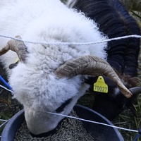 photo de livraison pour Refuge L'éco Sauvetage