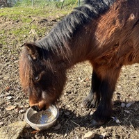 photo de livraison pour Refuge du Poil à la Plume