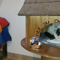 photo de livraison pour Ecole du Chat de Poitiers 