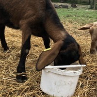 photo de livraison pour La Ferme des Zanimobiles