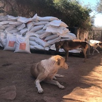 photo de livraison pour Help Adopt Moroccan Animals