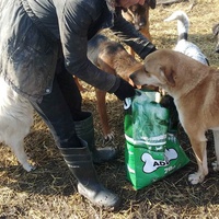 photo de livraison pour Svetlana Bjelogrlic