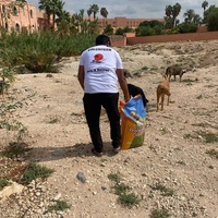 photo de livraison pour L'Arche de Noé