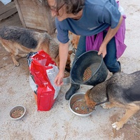 photo de livraison pour Sapa u srcu