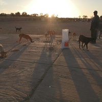 photo de livraison pour ADAN Essaouira